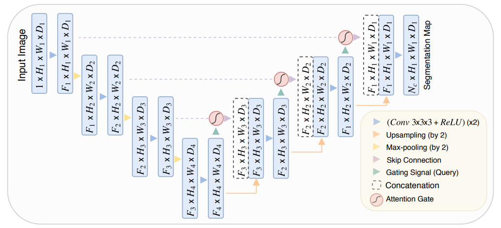 Attention U-Net Architecture